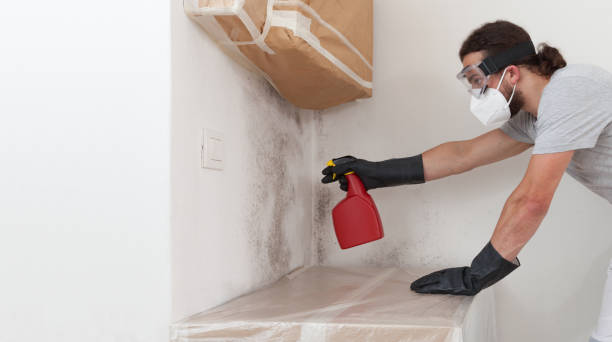 Professional Black Mold Remediation technician working in Prudenville, MI